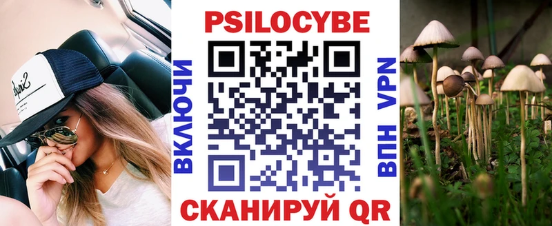 Купить закладки  Кашира  Галлюциногенные грибы MAGIC MUSHROOMS 